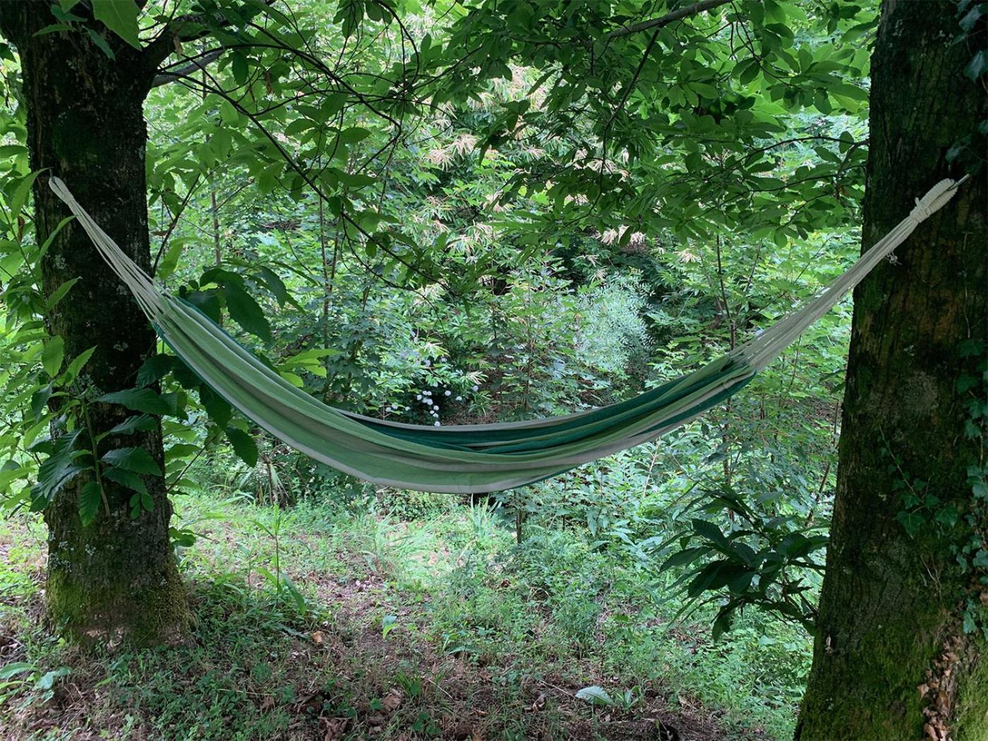The Nest ~ Your Best Rest Север-ду-Вога Екстер'єр фото